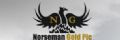 Norseman Gold Plc.