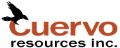 Cuervo Resources Inc